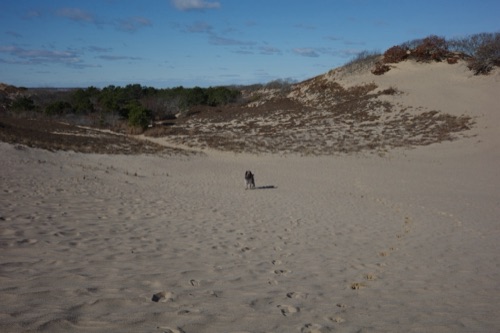 Montauk