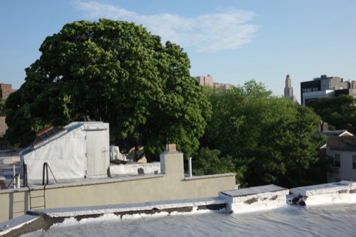 Clinton Hill